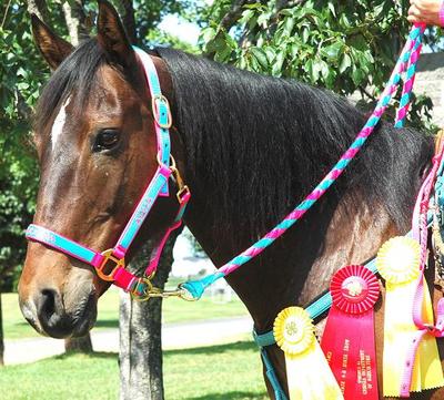 Black… Windsors Nylon Furr Horse Head Collars Matching Lead Rope